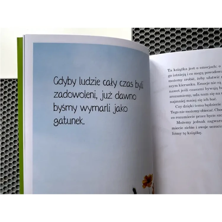 Szczegół wnętrza książki Zrozum swój mózg ZNAK z tekstem i ilustracjami wyjaśniającymi mechanizmy emocji