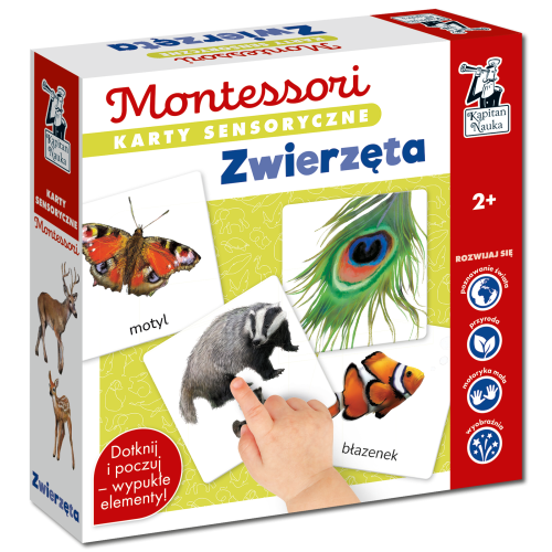 Karty sensoryczne Zwierzęta Kapitan Nauka Montessori z realistycznymi ilustracjami i dotykowymi elementami