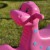 Bujak Dino WOOPIE w ujęciu z góry – widoczne miejsca do siedzenia i uchwyty
