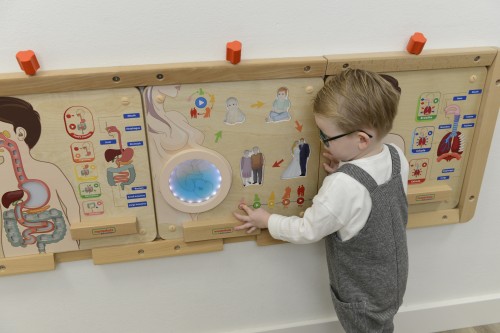 Zbliżenie na dotykowe przyciski tablicy edukacyjnej MASTERKIDZ pokazujące cykl życia