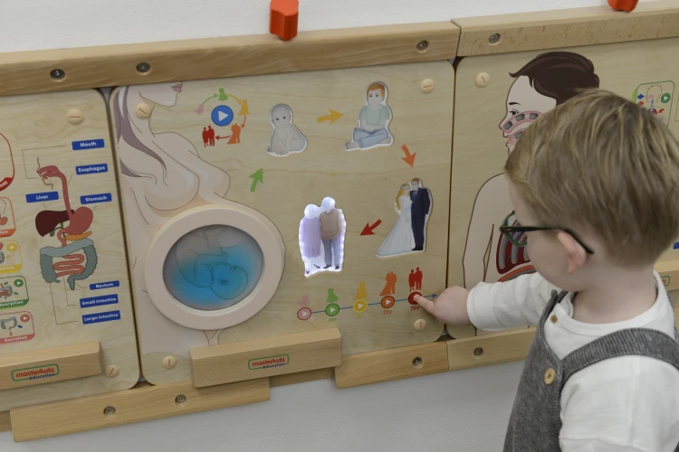 Tablica MASTERKIDZ na ścianie w ramce, pokazująca interaktywną naukę etapów życia człowieka