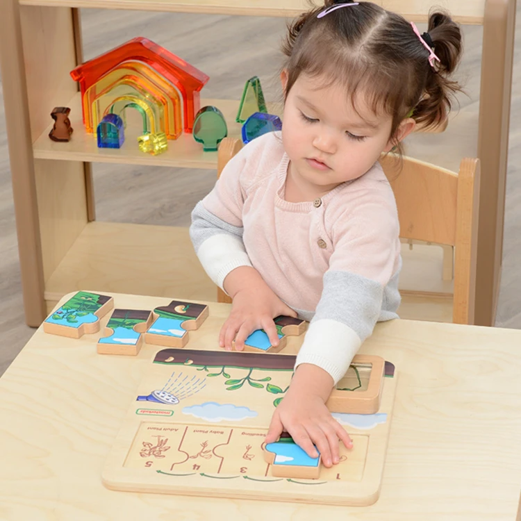 Widok na tablicę edukacyjną MASTERKIDZ z miejscem na obserwację prawdziwej rośliny fasoli