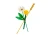 Zestaw LEGO Botanicals Kwiaty polne 30701 detaliczne modele dmuchawca i kłosa pszenicy
