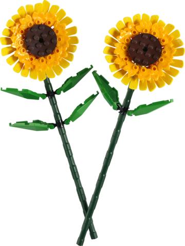 Zbliżenie na dwa zbudowane słoneczniki LEGO Botanicals 40524 z regulowanymi łodygami i liśćmi