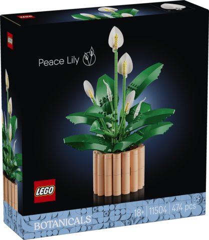 LEGO Botanicals Skrzydłokwiat 11504 zestaw dekoracyjny z brzoskwiniową doniczką