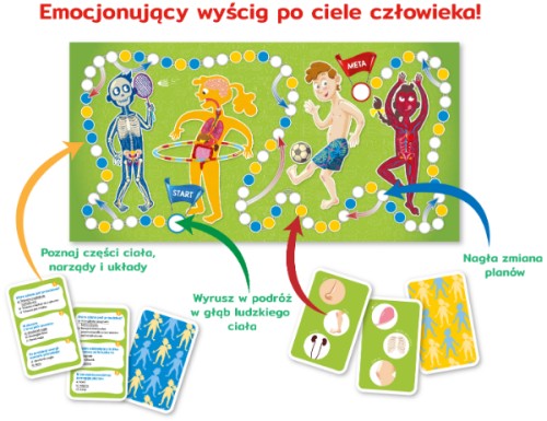 Zestaw kart quizowych i plakat z opisanymi częściami ciała z gry Kapitan Nauka Ciało człowieka