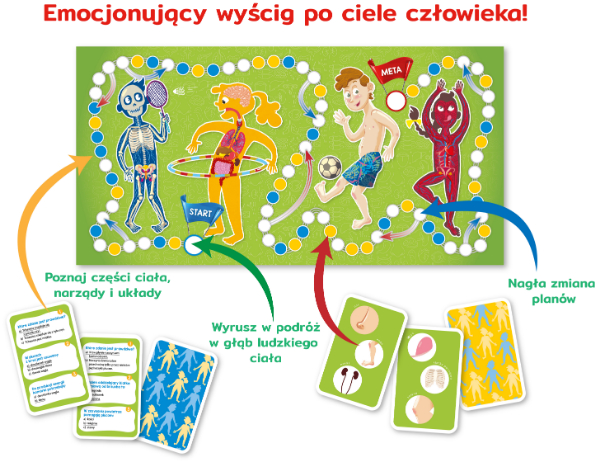 Zestaw kart quizowych i plakat z opisanymi częściami ciała z gry Kapitan Nauka Ciało człowieka