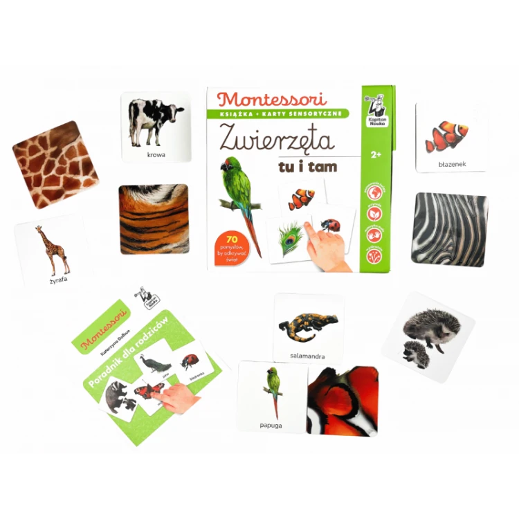Dwustronne karty sensoryczne Zwierzęta Kapitan Nauka Montessori z poradnikiem dla opiekunów