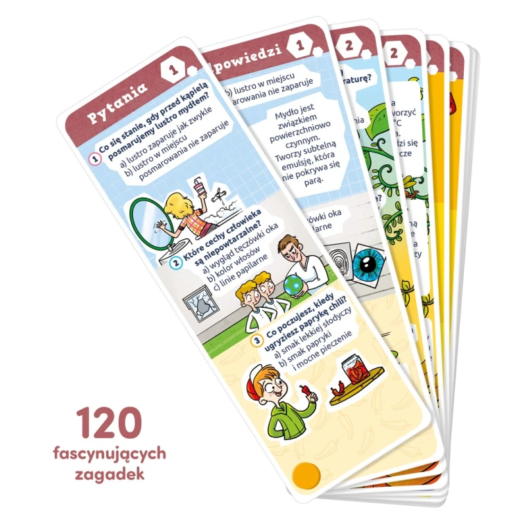 Ilustracje Magdaleny Babińskiej w quizach edukacyjnych Xplore Team dla dzieci 9–10 lat