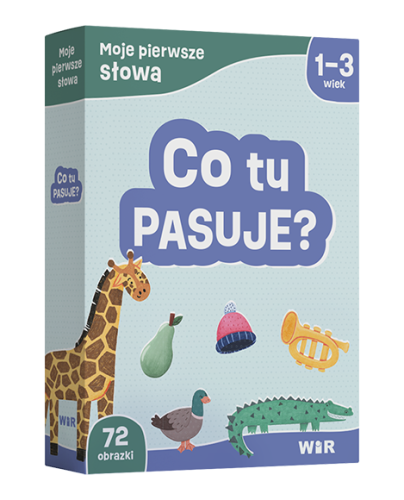 Zestaw obrazkowy Moje pierwsze słowa. Co tu pasuje? z kolorowymi obrazkami do nauki mowy i kategoryzowania dzieci 1–3 lata